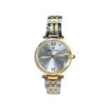 Montre Daniel Klein Femme Élégance Dorée
